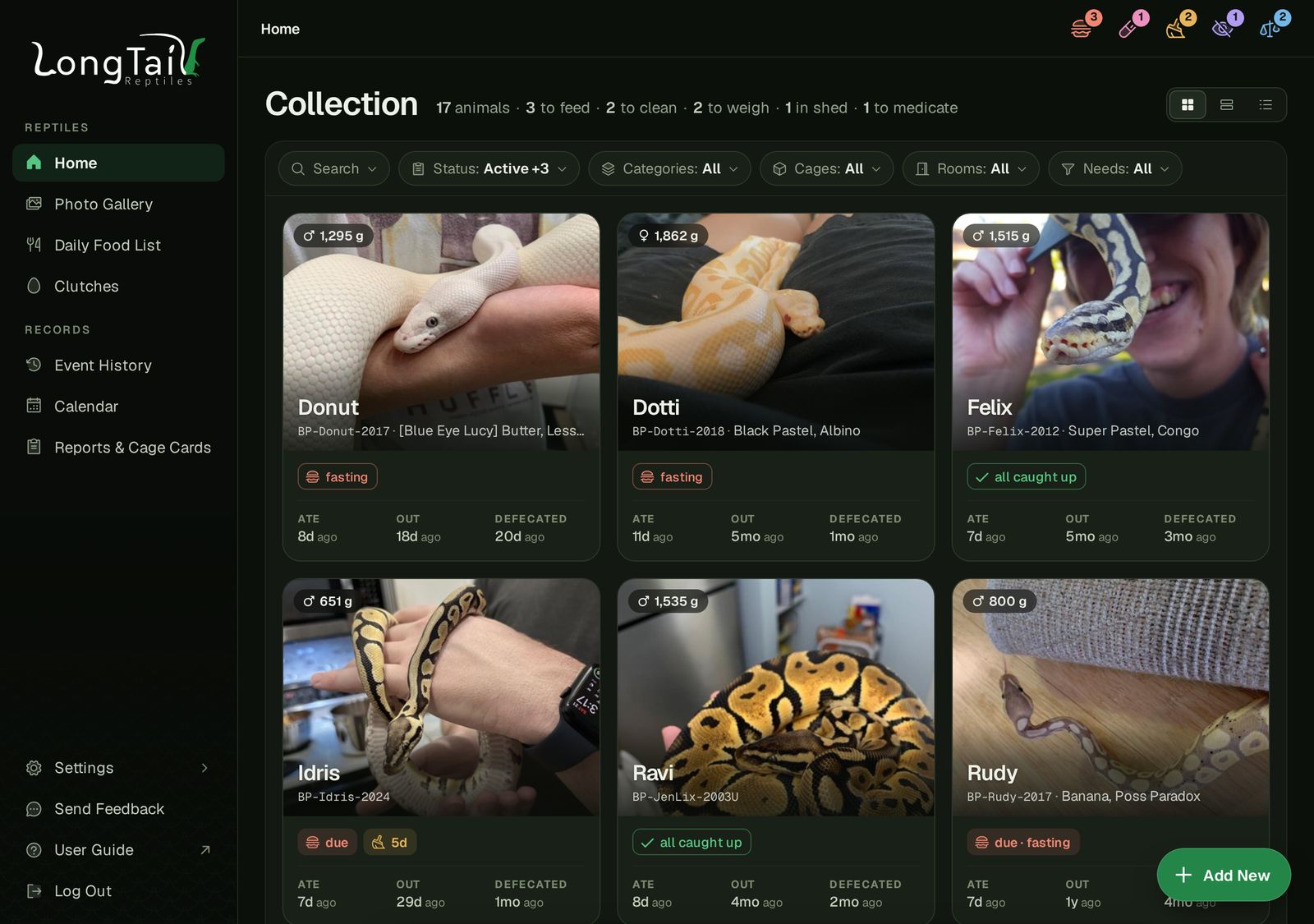 SnekLog's Home screen on a computer: a photo card for every animal in the collection, each with its picture, name and when it last ate