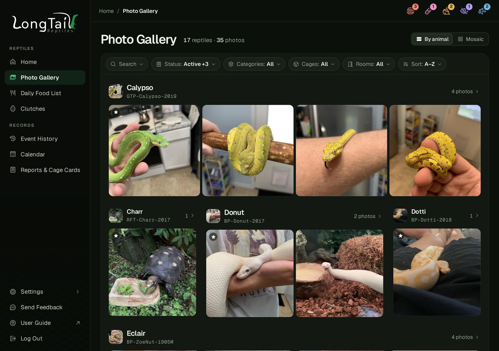 The Photo Gallery: photos from across the collection, grouped by animal