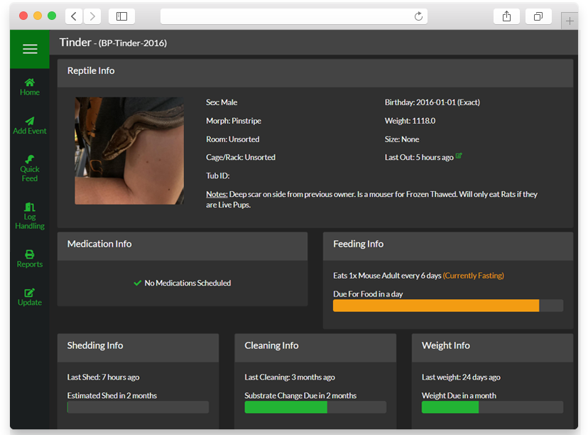 Reptile Dashboard