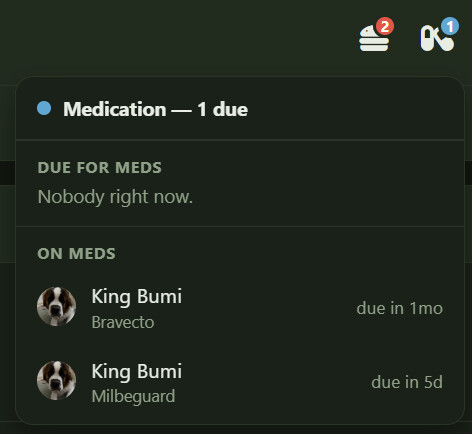Medication Notification