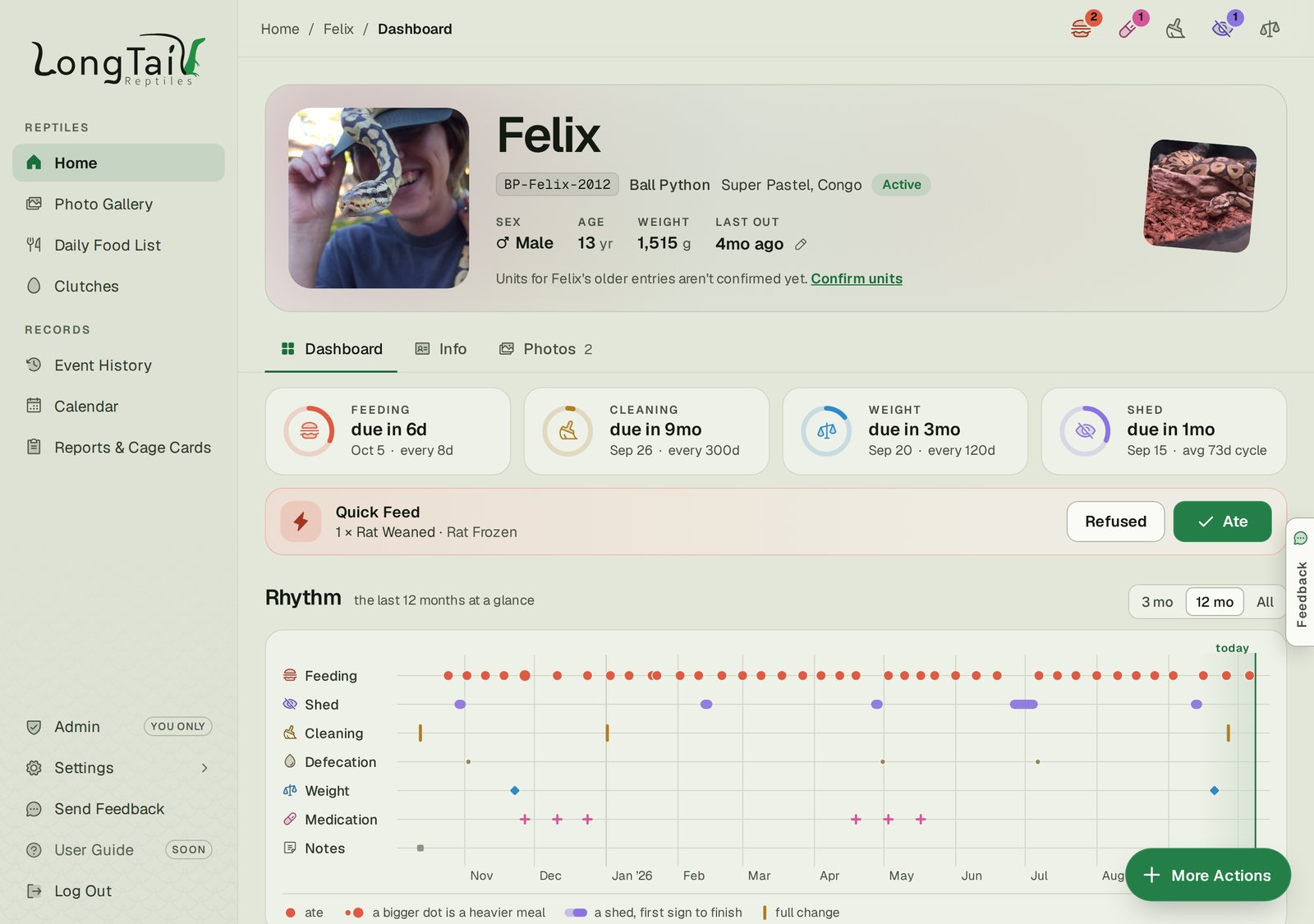 Light Theme Dashboard