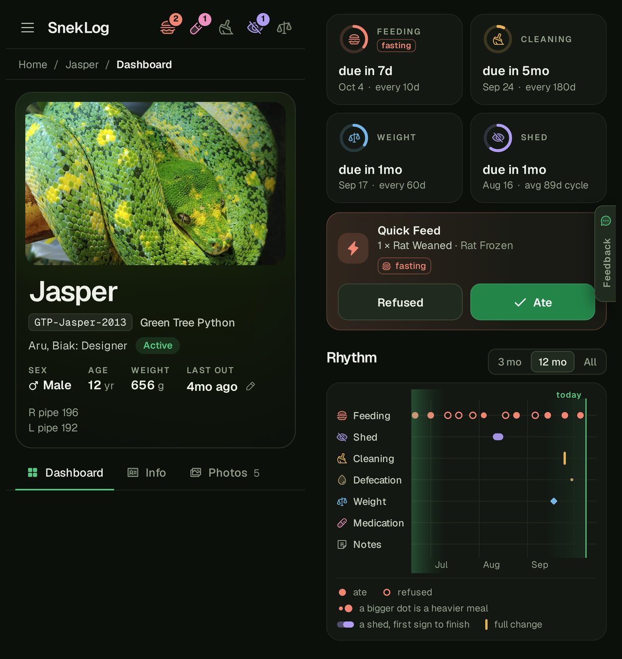 The Dashboard on a Phone