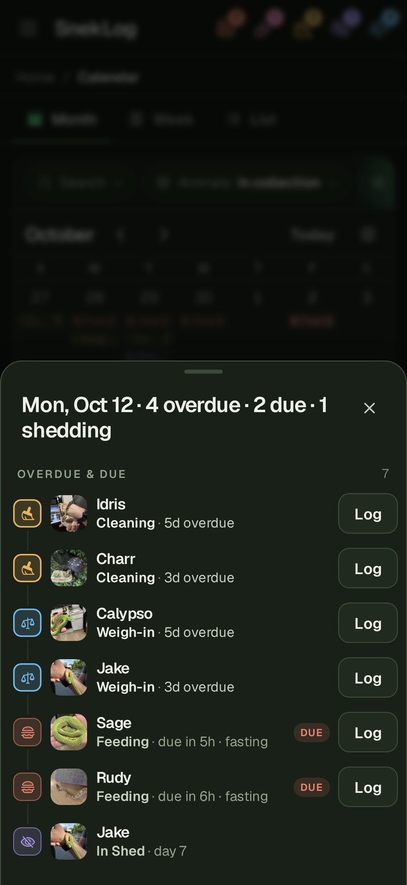 A day's sheet on a phone