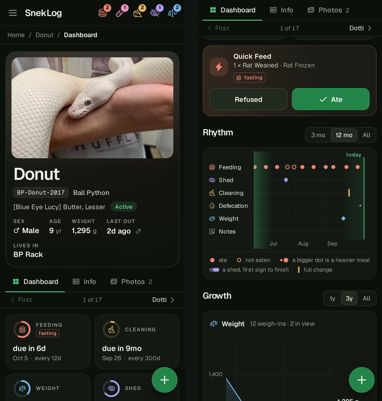 The dashboard on a phone