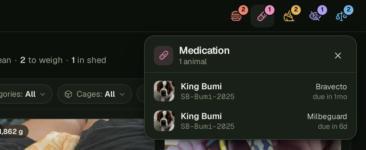 The Medication panel