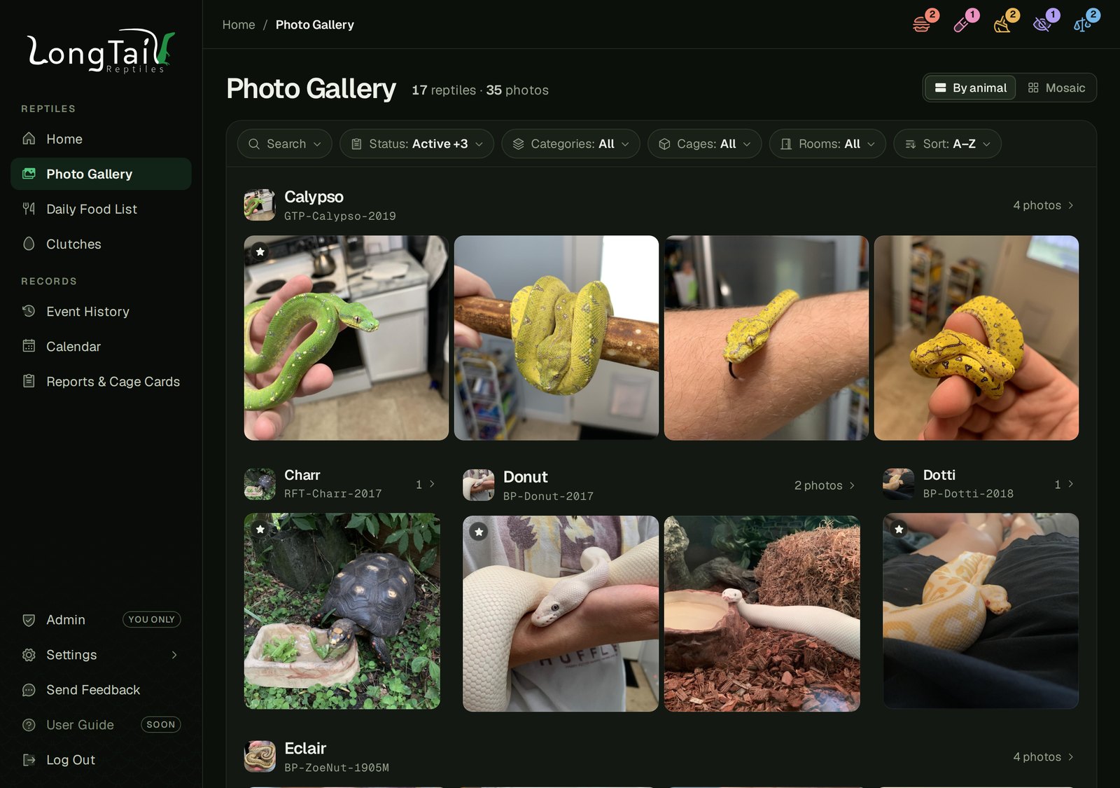 The Photo Gallery
