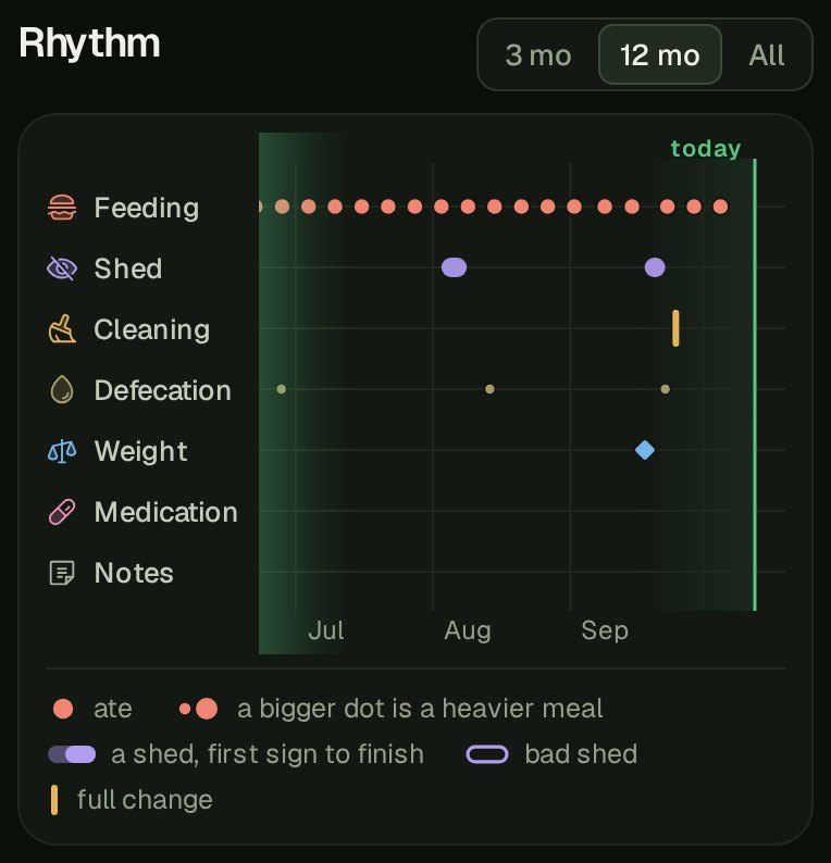 Rhythm on a phone